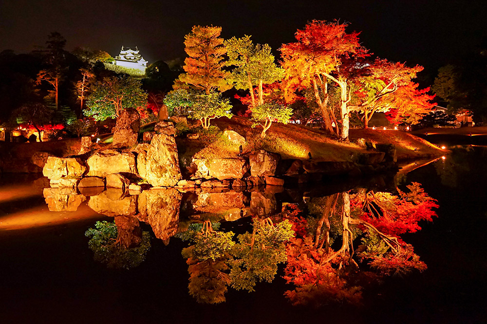 ライトアップされた玄宮園の紅葉と池の水鏡